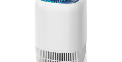 AROEVE DH-JH12: purificador de aire eficiente para el hogar