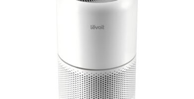 ¿Vale la pena el LEVOIT Core 300S? Reseña y características